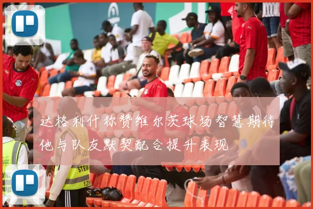 达格利什称赞维尔茨球场智慧期待他与队友默契配合提升表现