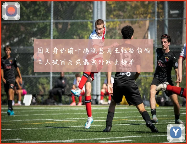 国足身价前十揭晓塞鸟王钰栋领衔三人破百万武磊意外跌出榜单