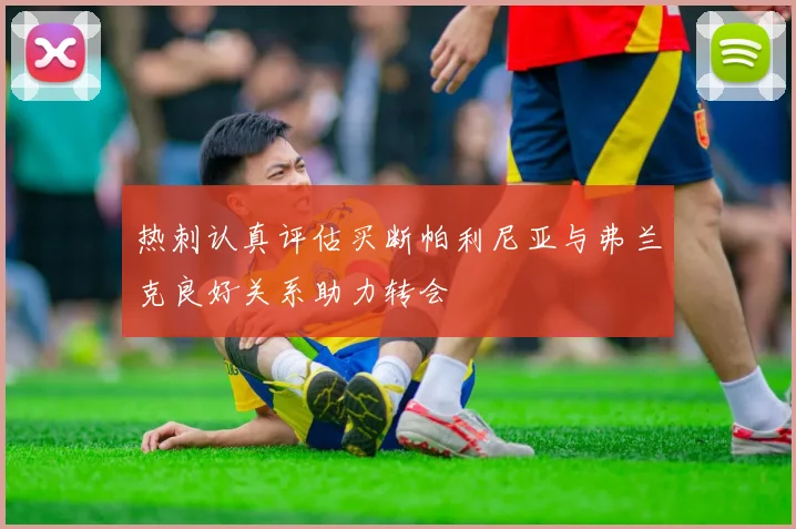 热刺认真评估买断帕利尼亚与弗兰克良好关系助力转会